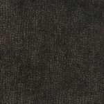 Cat. B Sun Bear Ardesia