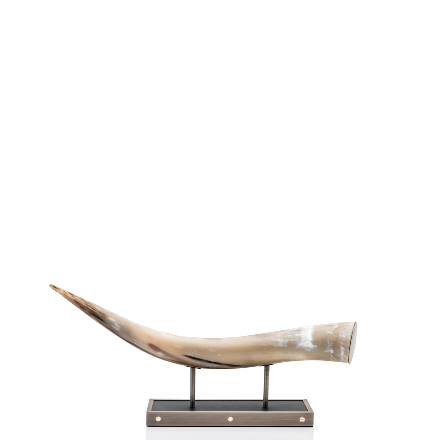 Sculptures - Cassiopea horizontal sculpture in horn and black oak veneer - Arcahorn